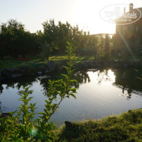 фото из отзыва ID 1316896