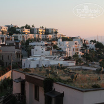 фото из отзыва ID 1317035