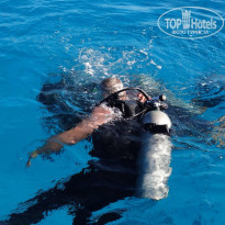 фото из отзыва ID 1317209