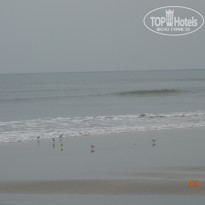 фото из отзыва ID 1317212