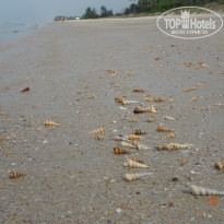 фото из отзыва ID 1317212