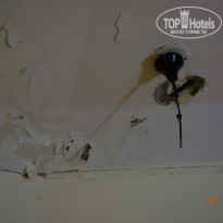 фото из отзыва ID 1317212