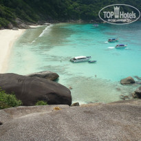 фото из отзыва ID 1312575