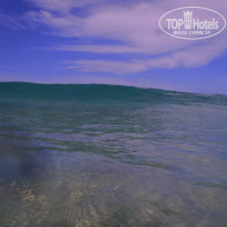 фото из отзыва ID 1317154