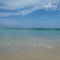 фото из отзыва ID 1317154