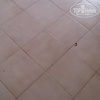 фото из отзыва ID 1317453