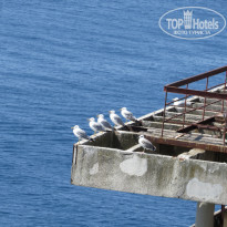 фото из отзыва ID 1317620