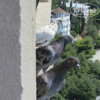 фото из отзыва ID 1317620