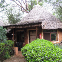 фото из отзыва ID 1317636