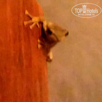 фото из отзыва ID 1317649