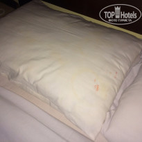 фото из отзыва ID 1317672