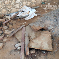 фото из отзыва ID 1317672