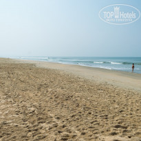 фото из отзыва ID 1317718