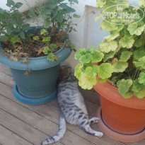 фото из отзыва ID 1317721