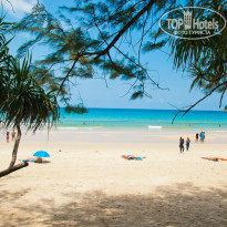 фото из отзыва ID 1317772