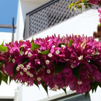 фото из отзыва ID 1317810