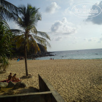 фото из отзыва ID 1317842