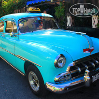 фото из отзыва ID 1317882