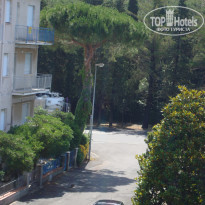 фото из отзыва ID 1317951