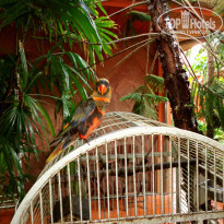 фото из отзыва ID 1317990