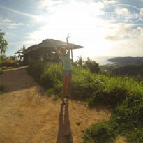 фото из отзыва ID 1318157