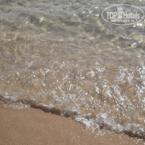 фото из отзыва ID 1318170