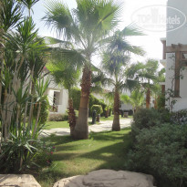 фото из отзыва ID 1318170