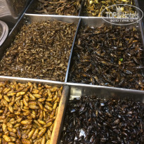 фото из отзыва ID 1318200