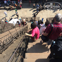 фото из отзыва ID 1318200