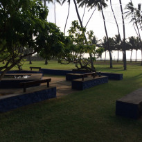 фото из отзыва ID 1318299