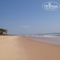 фото из отзыва ID 1318455