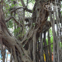 фото из отзыва ID 1318498