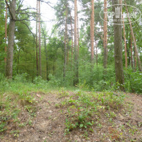 фото из отзыва ID 1318505