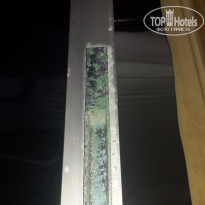 фото из отзыва ID 1318660