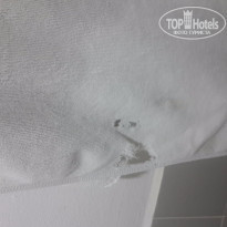 фото из отзыва ID 1318660