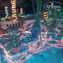 фото из отзыва ID 1318738