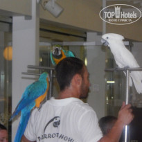 фото из отзыва ID 1318856