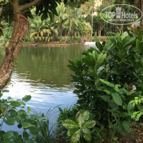 фото из отзыва ID 1318927