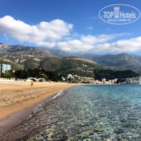 фото из отзыва ID 1318935