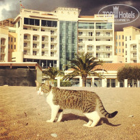 фото из отзыва ID 1318935