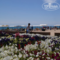 фото из отзыва ID 1318986