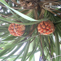 фото из отзыва ID 1318995