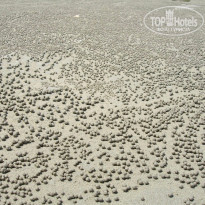 фото из отзыва ID 1318995