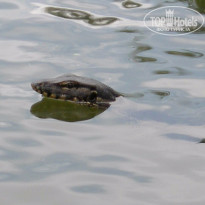 фото из отзыва ID 1318995