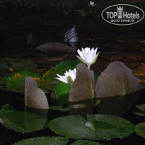 фото из отзыва ID 1318995