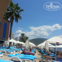 фото из отзыва ID 1319014