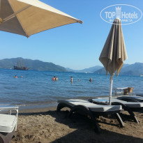 фото из отзыва ID 1319014