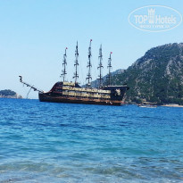 фото из отзыва ID 1319014