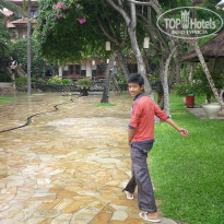 фото из отзыва ID 1319026