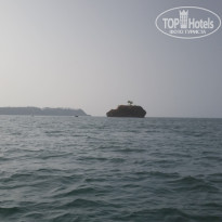 фото из отзыва ID 1315755